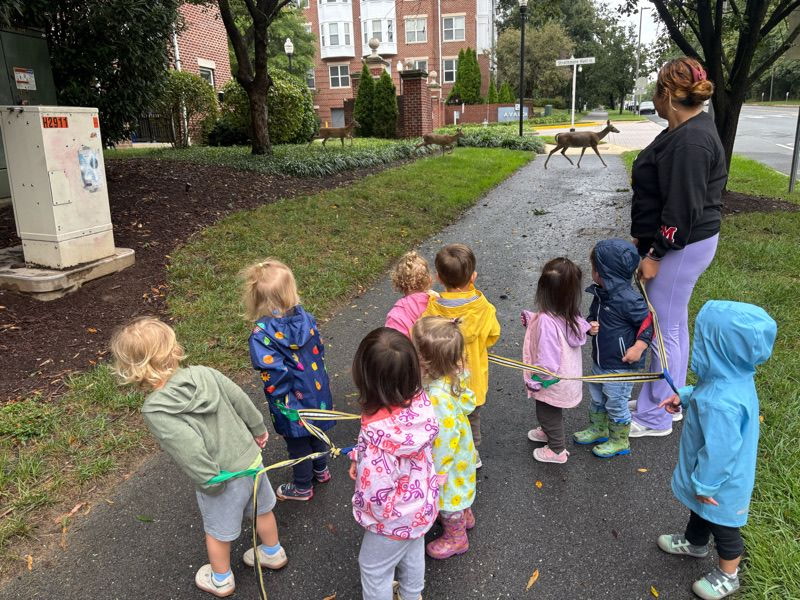 Children enjoying an outdoor walk with their teacher